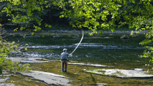 pólizas seguros caza y pesca