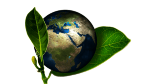 seguros de responsabilidad medioambiental empresas